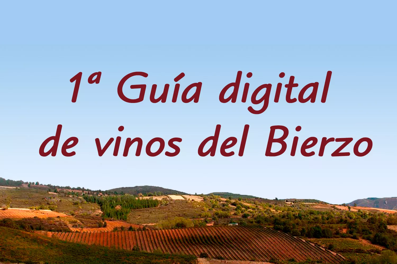 Guía digital de vinos del Bierzo