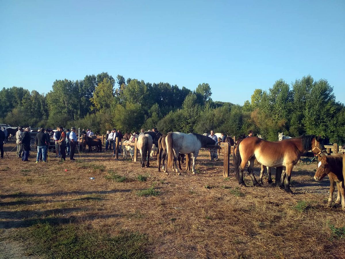 Feria San Miguel de Cacabelos