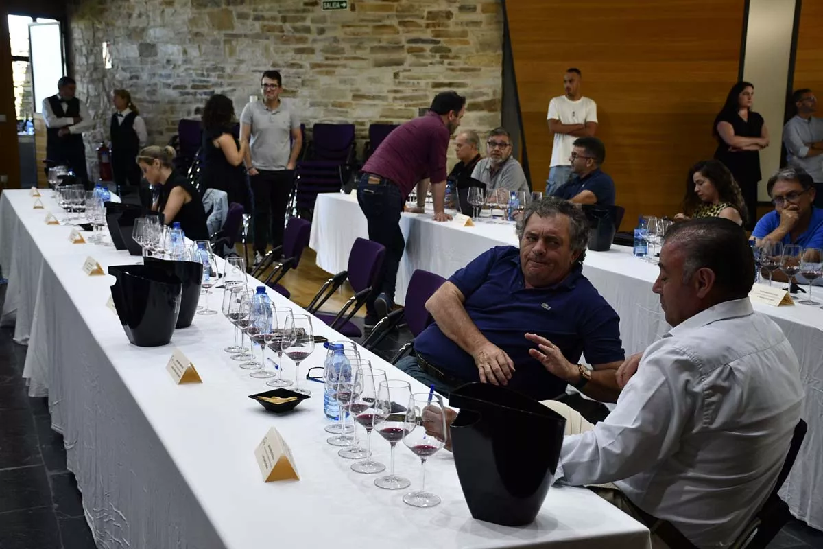 La añada de la DO Bierzo 2023 'cosecha' la excelencia un año más y el periodistaJavier Pérez secunda esta valoración