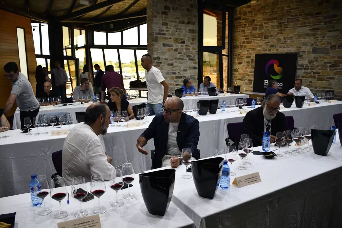 La añada de la DO Bierzo 2023 'cosecha' la excelencia un año más y el periodistaJavier Pérez secunda esta valoración