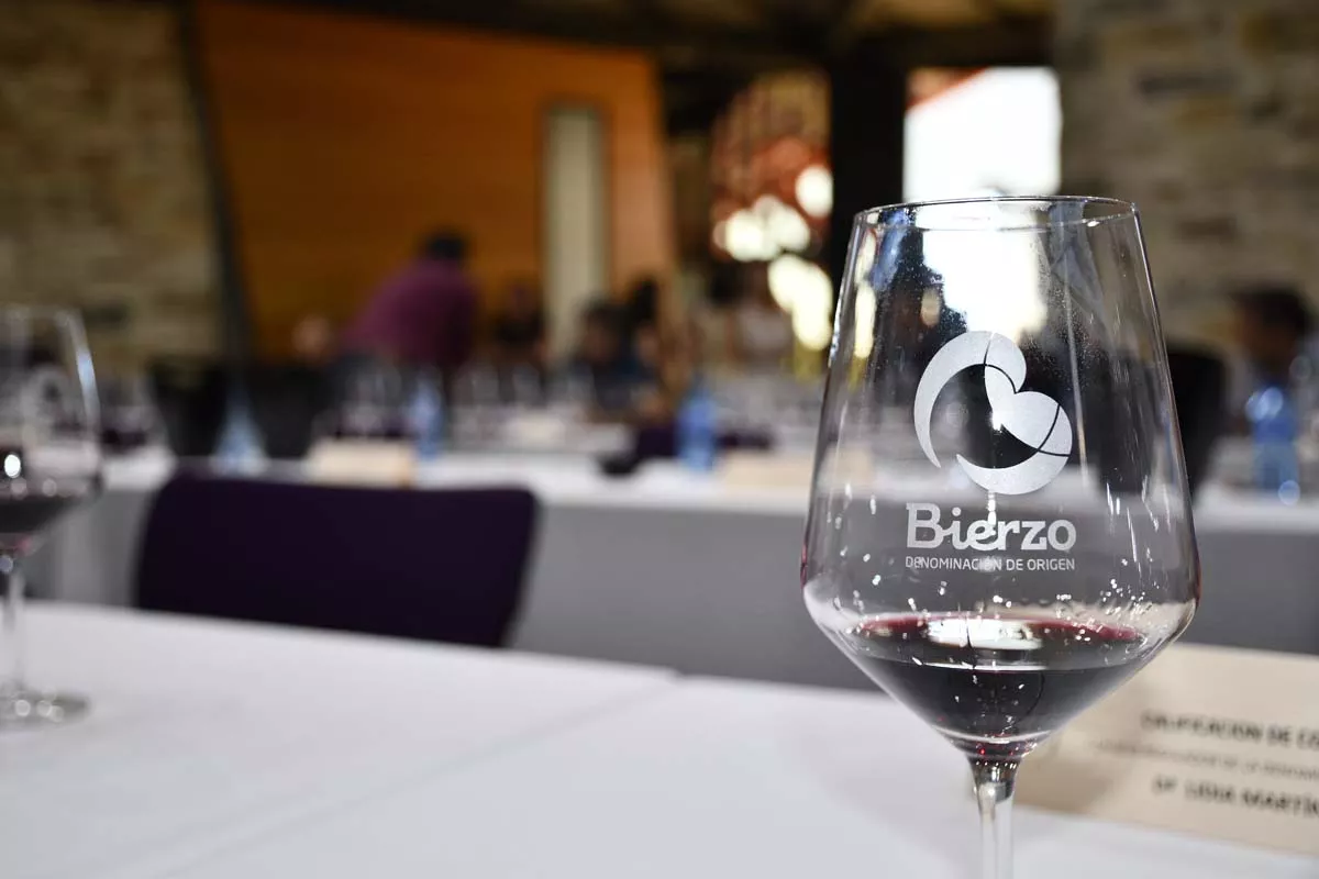  La añada de la DO Bierzo 2023 'cosecha' la excelencia un año más y el periodistaJavier Pérez secunda esta valoración