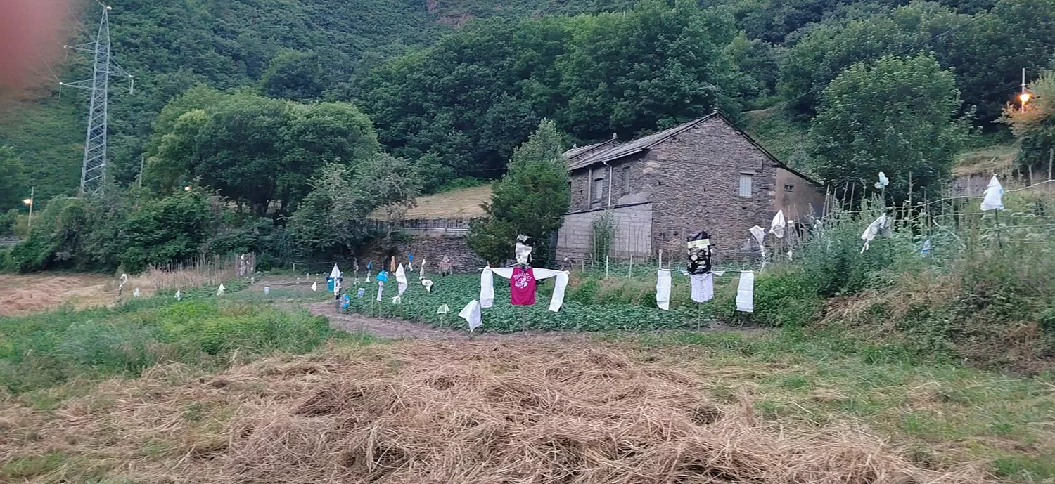 Medidas de los vecinos para espantar a Lechuguina