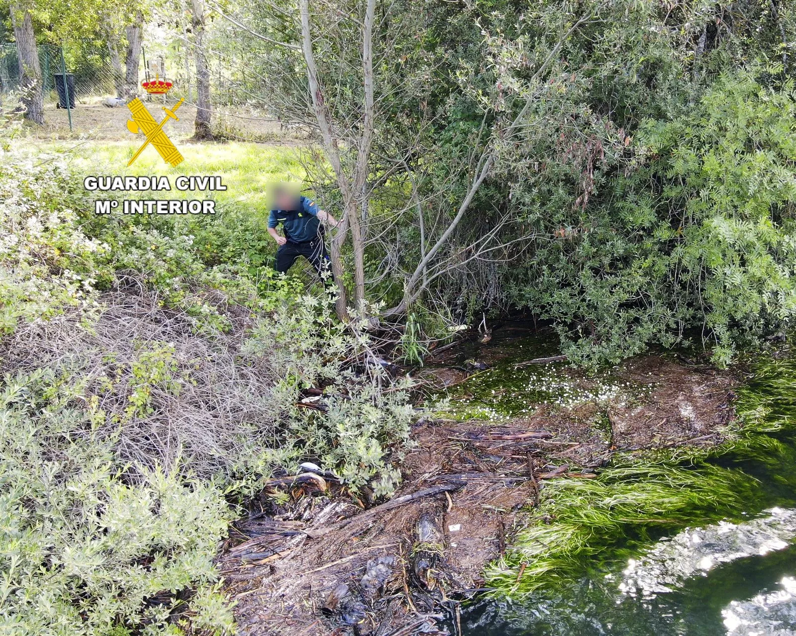 Los GEAS se suman a la búsqueda del británico desaparecido en Las Salas peinando el río Esla (3)