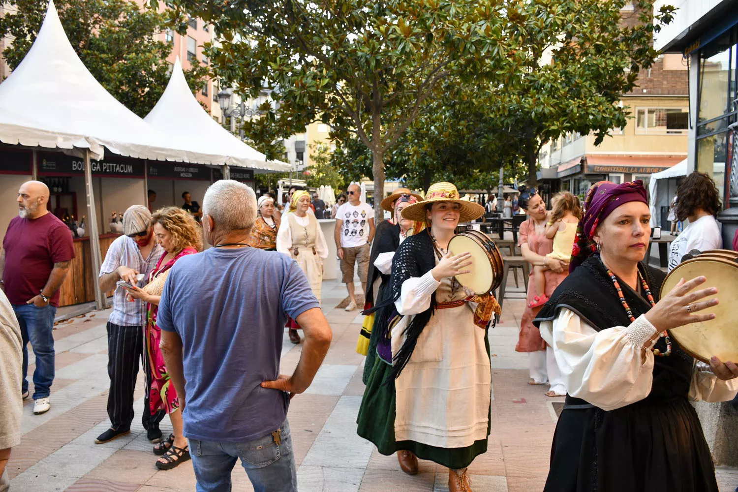 Feria del vino de Ponferrada (4)