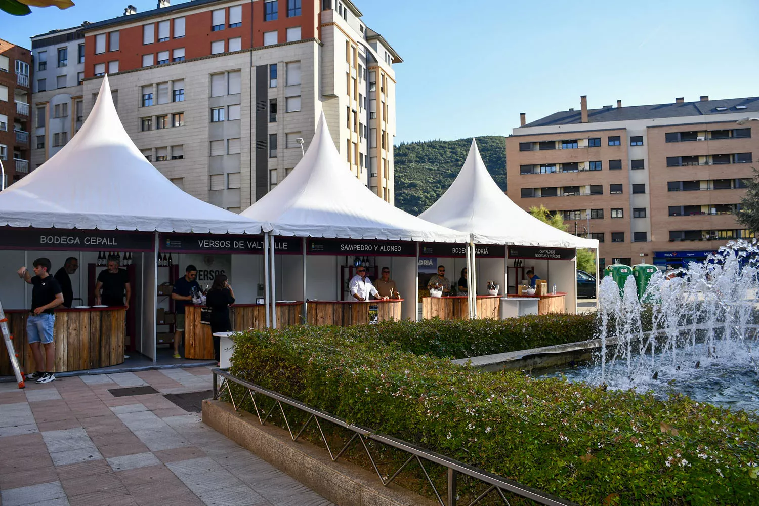 Feria del vino de Ponferrada (15)