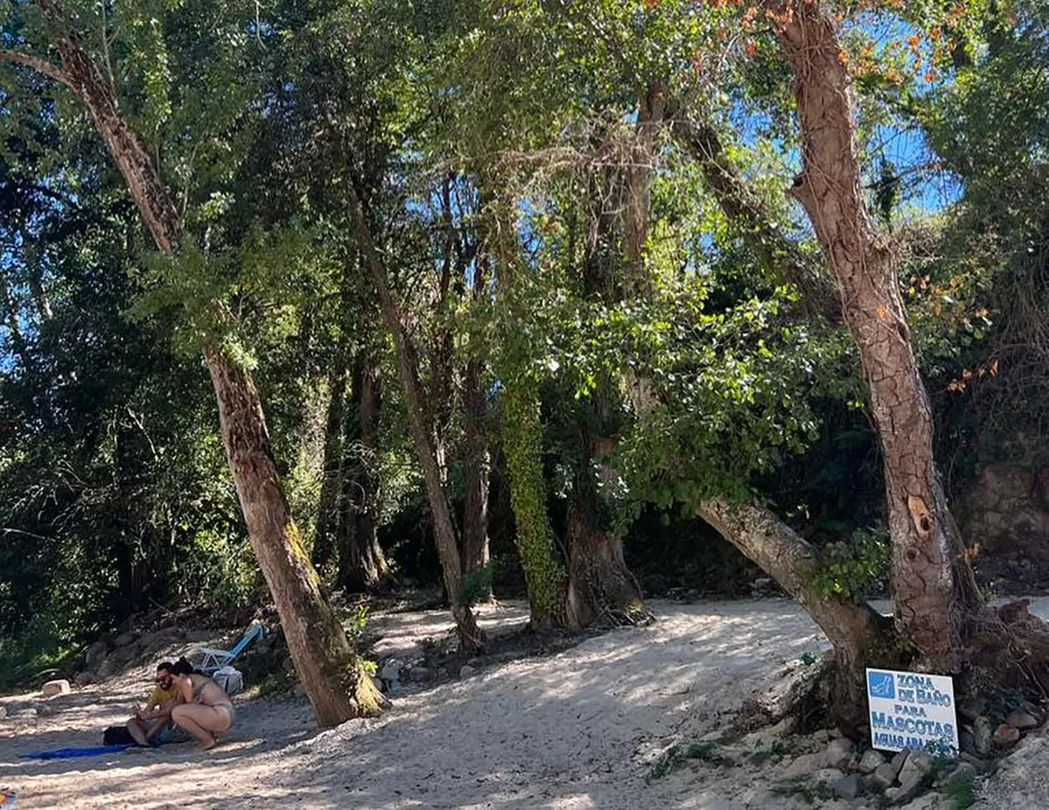 Playa de Corullón | Foto: Turismo Bierzo