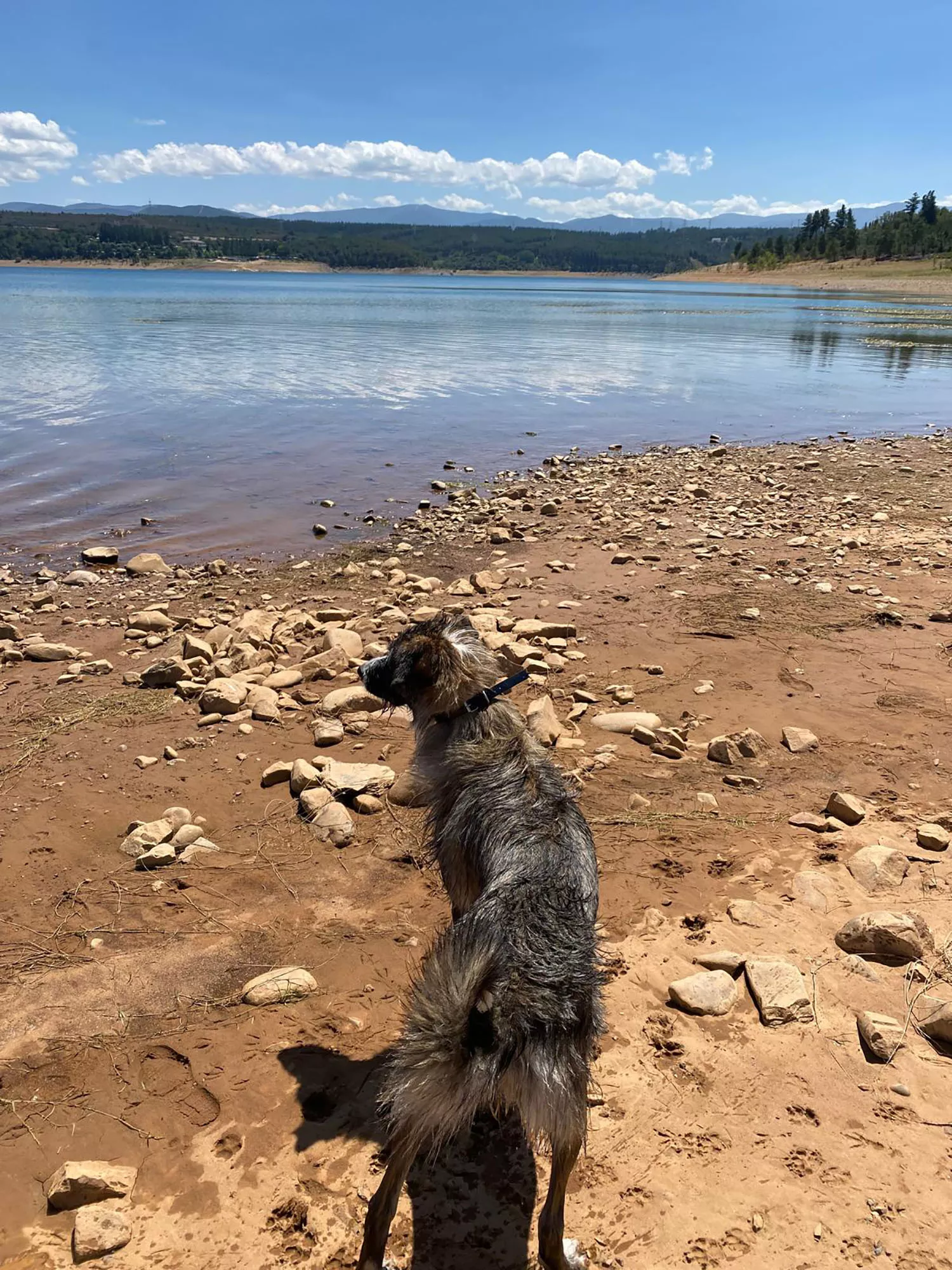 Matcha disfrutando en el pantano de Bárcena