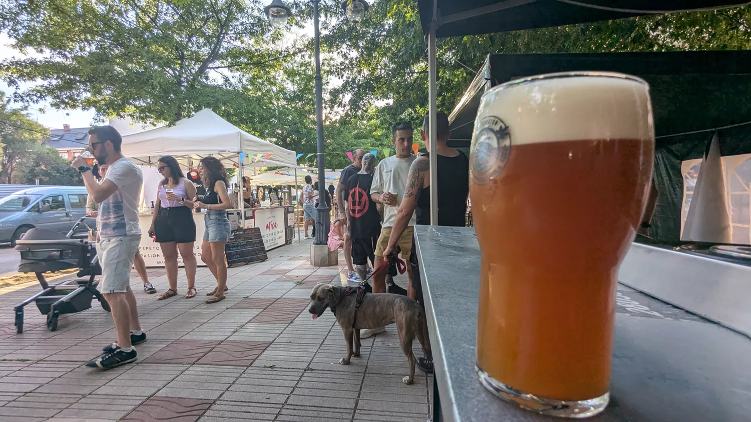 Feria de la cerveza de Ponferrada (7)