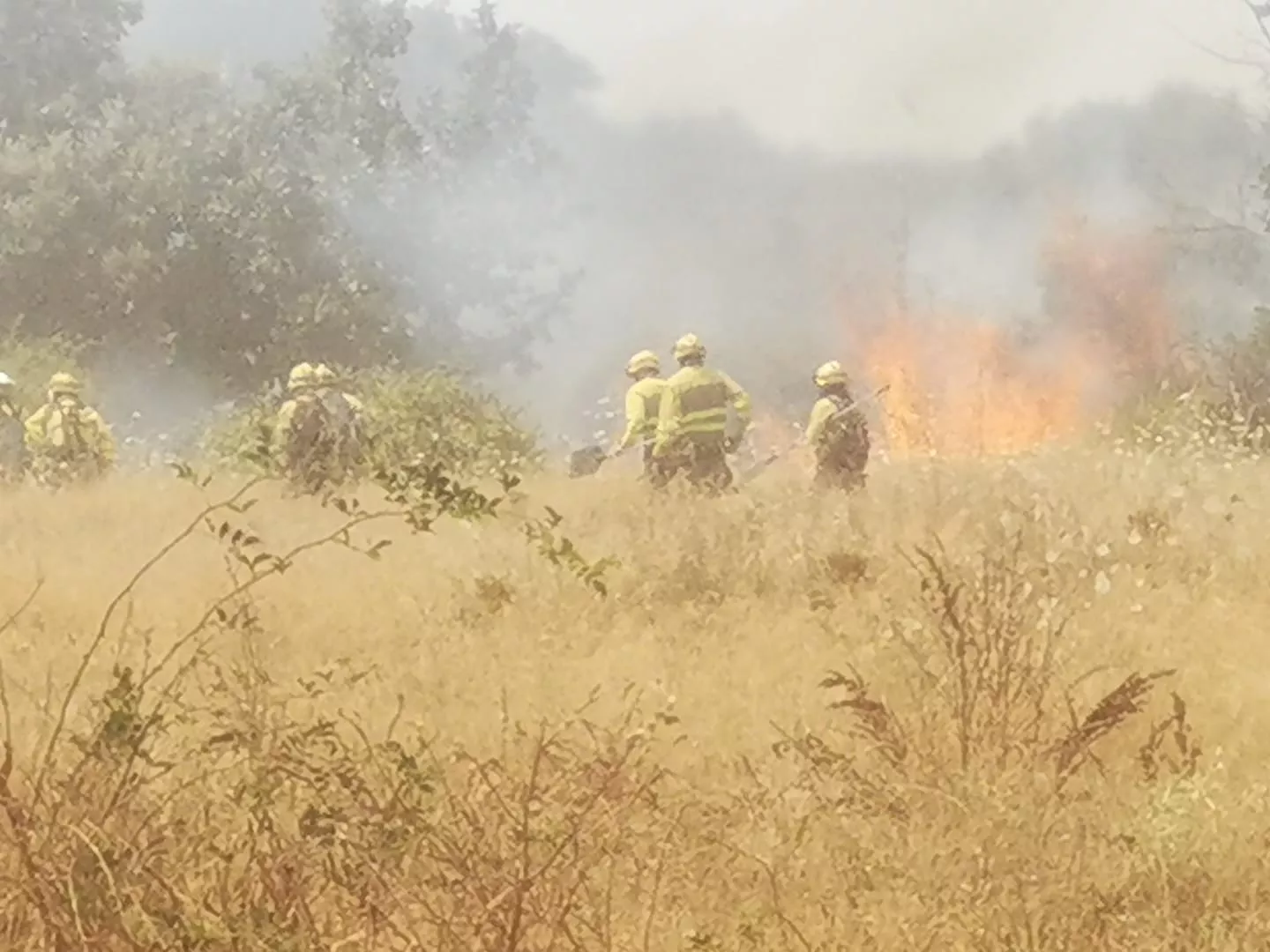 Los bomberos durante la intervención de este lunes en el incendio de Barrio Socuello