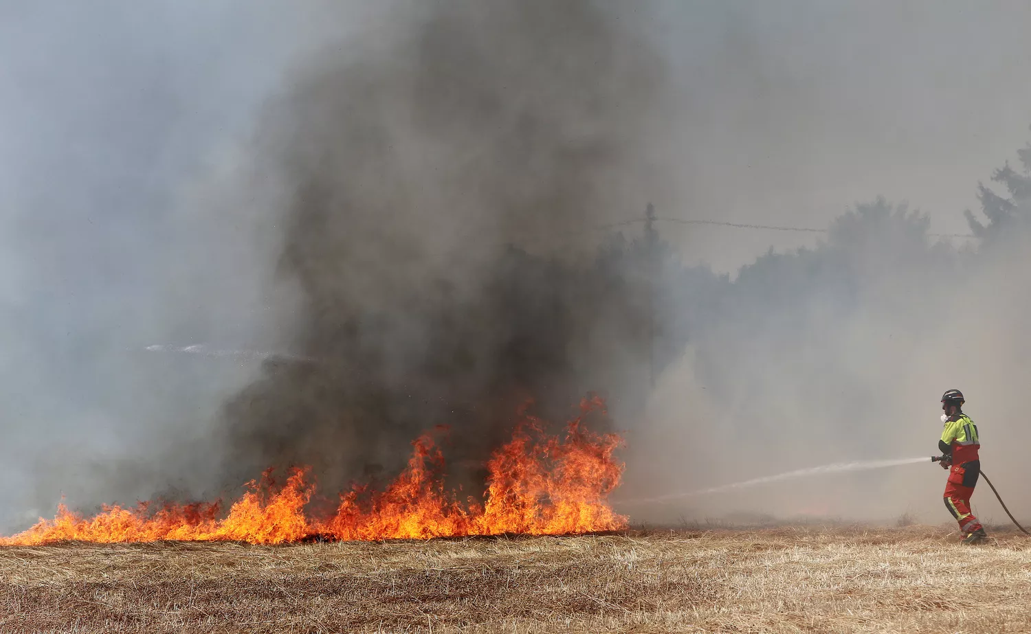   Incendio en unas tierras de cultivo en Palencia