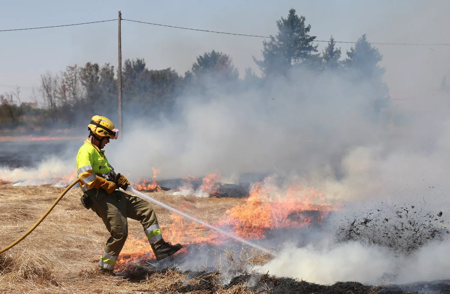   Incendio en unas tierras de cultivo en Palencia