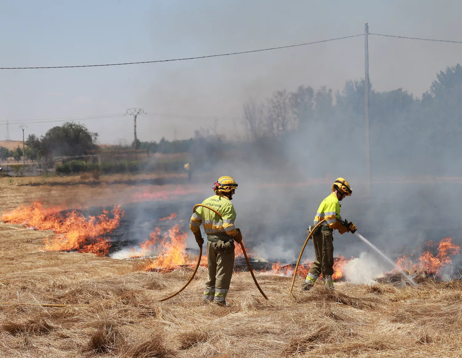   Incendio en unas tierras de cultivo en Palencia