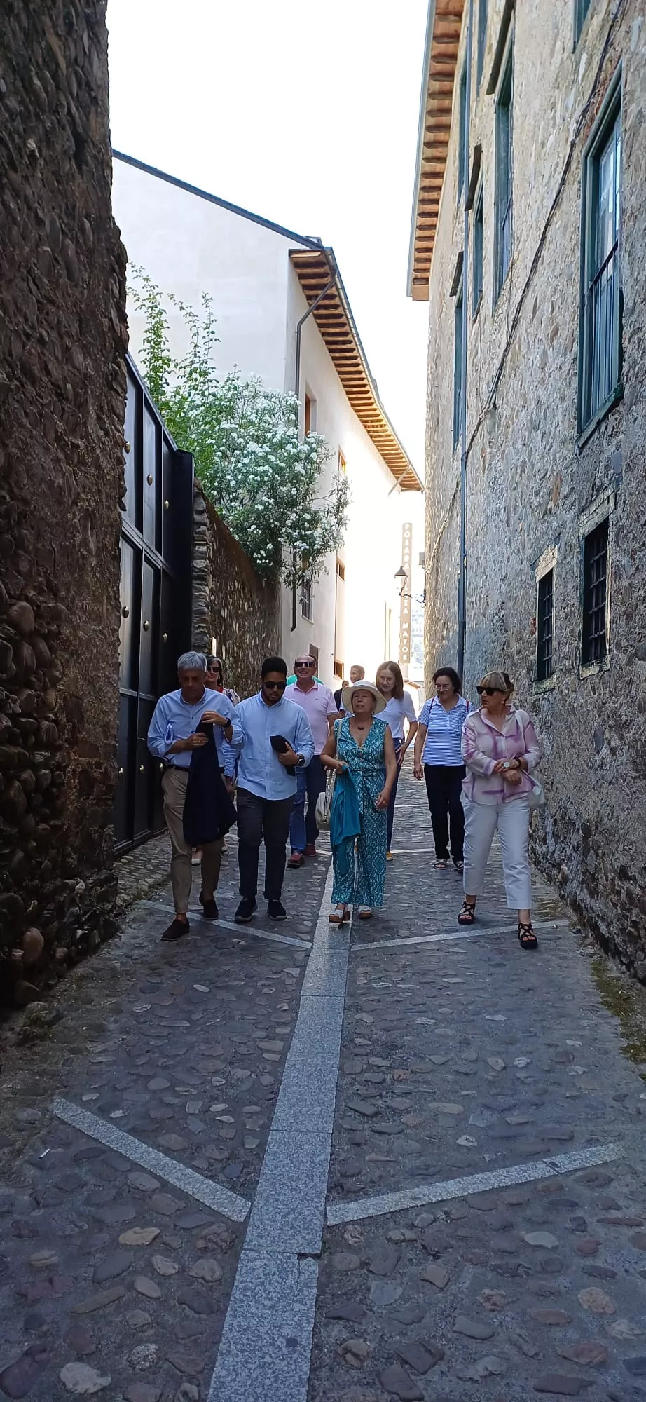 La Comisión Patrimonio recorre las calles de Villafranca