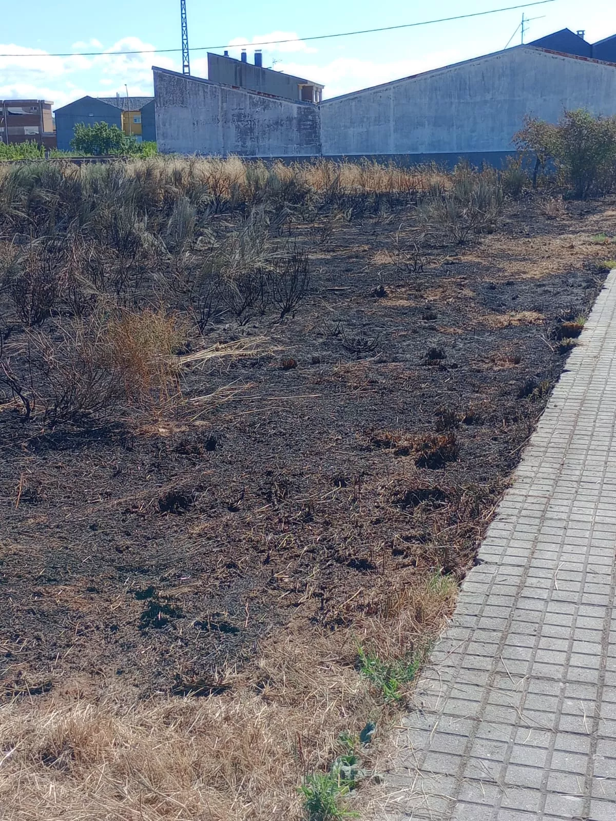 Incendio intencionado en el barrio de Socuello (Bembibre) (3)