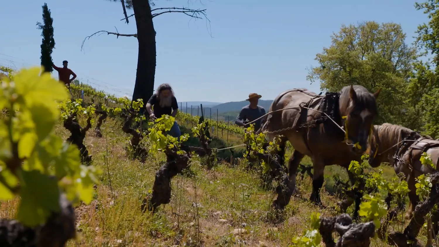 'Viajeros Cuatro' en El Bierzo