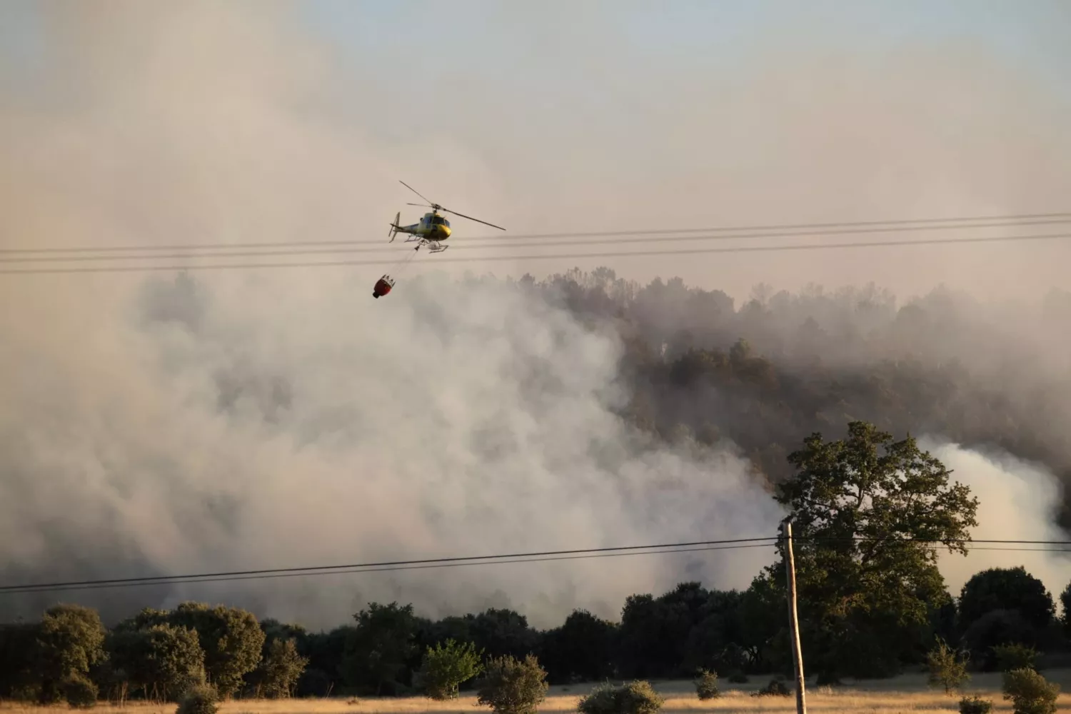  Incendio forestal en Trabazos (Zamora) | José Luis Leal / ICAL.