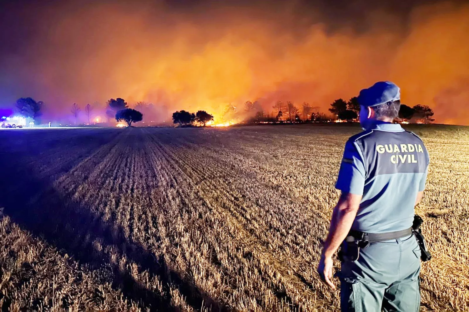 incendio zamora (1)