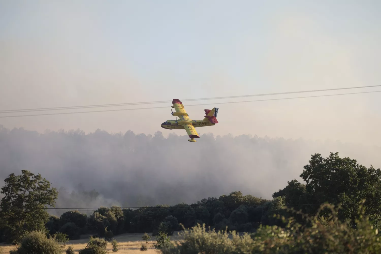 Incendio forestal en Trabazos (Zamora) | José Luis Leal / ICAL