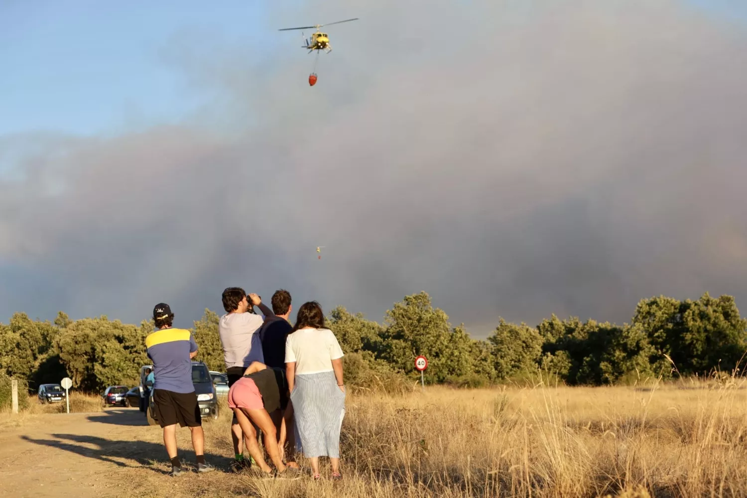 Incendio forestal en Trabazos (Zamora) (4)