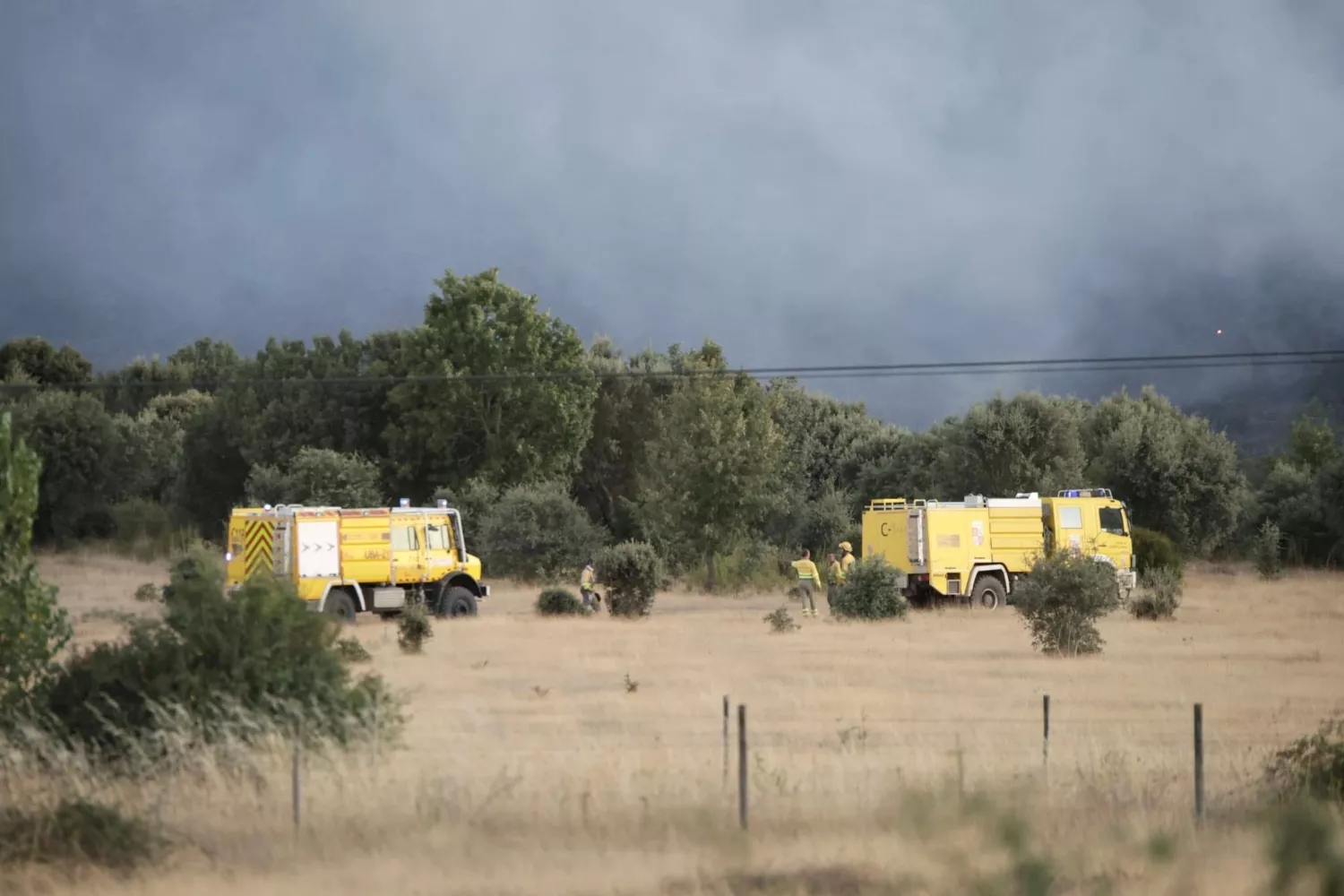 Incendio forestal en Trabazos (Zamora) (2)