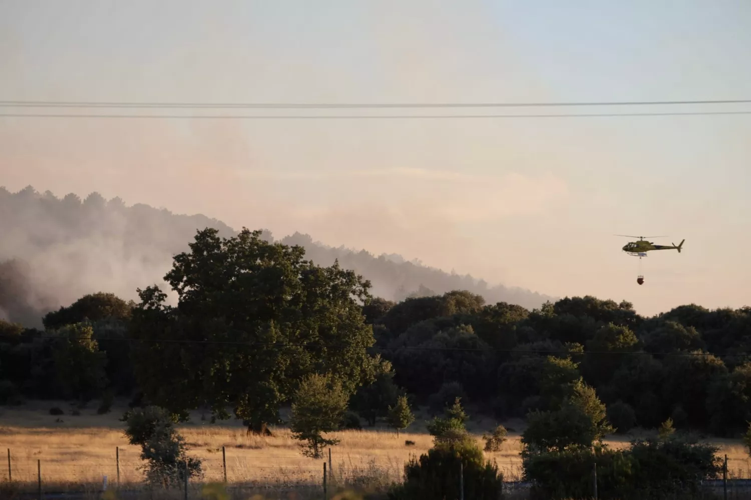 Incendio forestal en Trabazos (Zamora) (3)