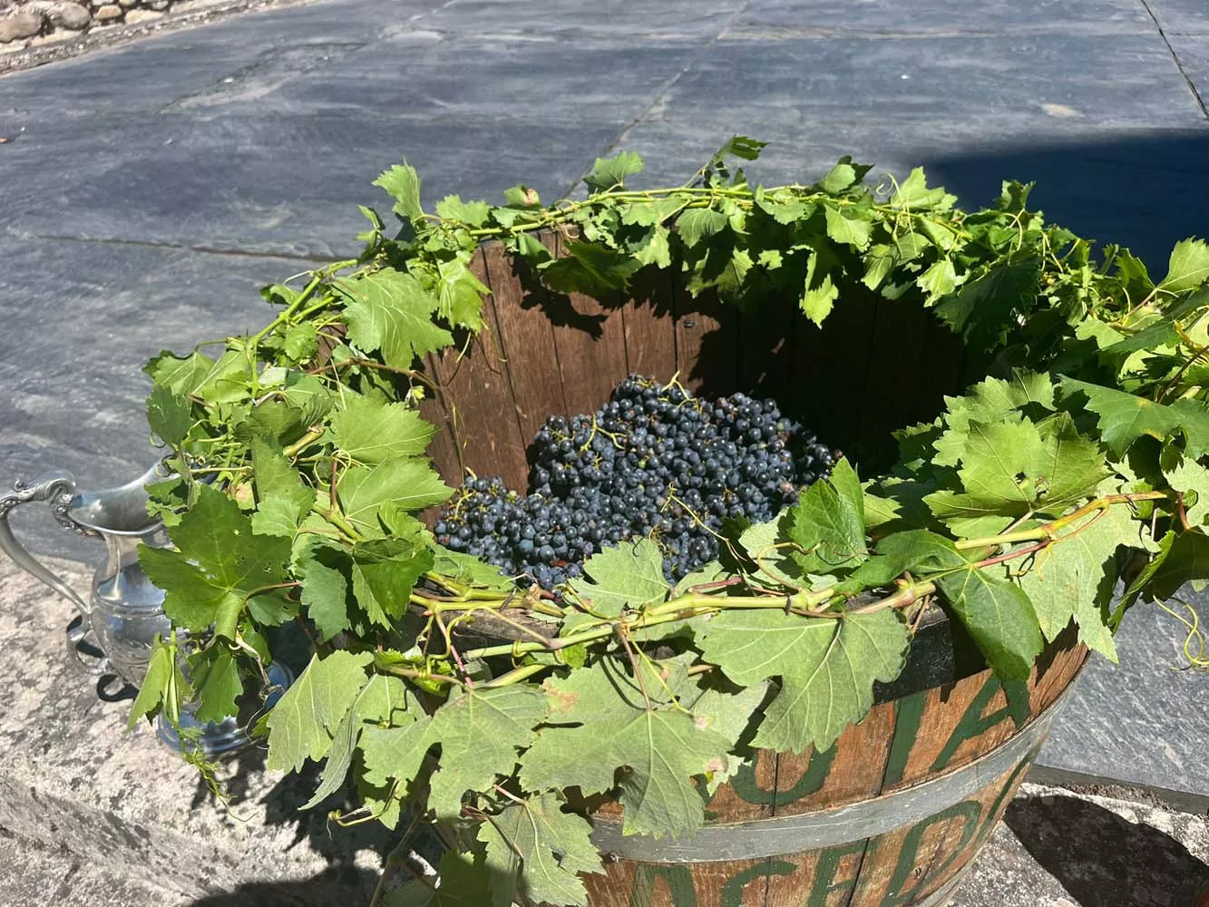 Ofrenda del primer mosto del Bierzo 