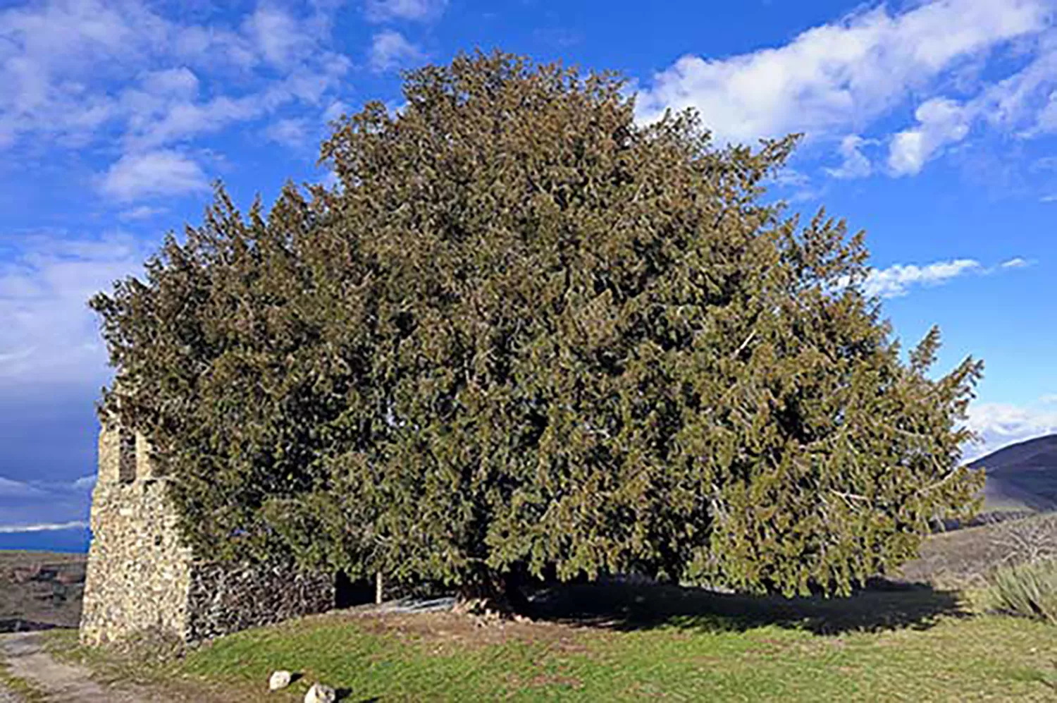 Ponferrada obtiene la autorización para instalar cámaras para proteger el Tejo de San Cristóbal