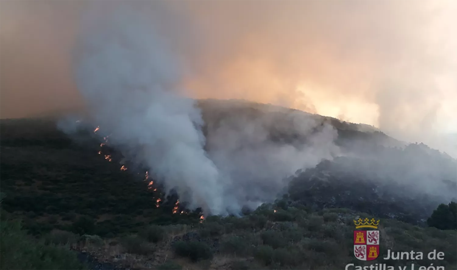 Declarado un incendio forestal de nivel 1 en Villablino (León) por posible afección a más de 30 hectáreas de arbolado