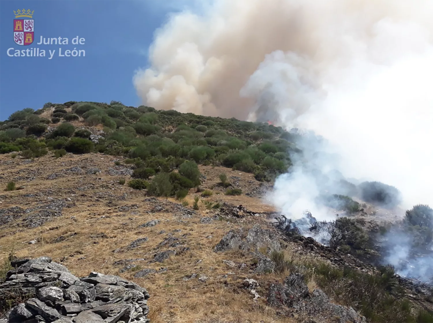 Incendio forestal de nivel 1 en Villablino (León) 