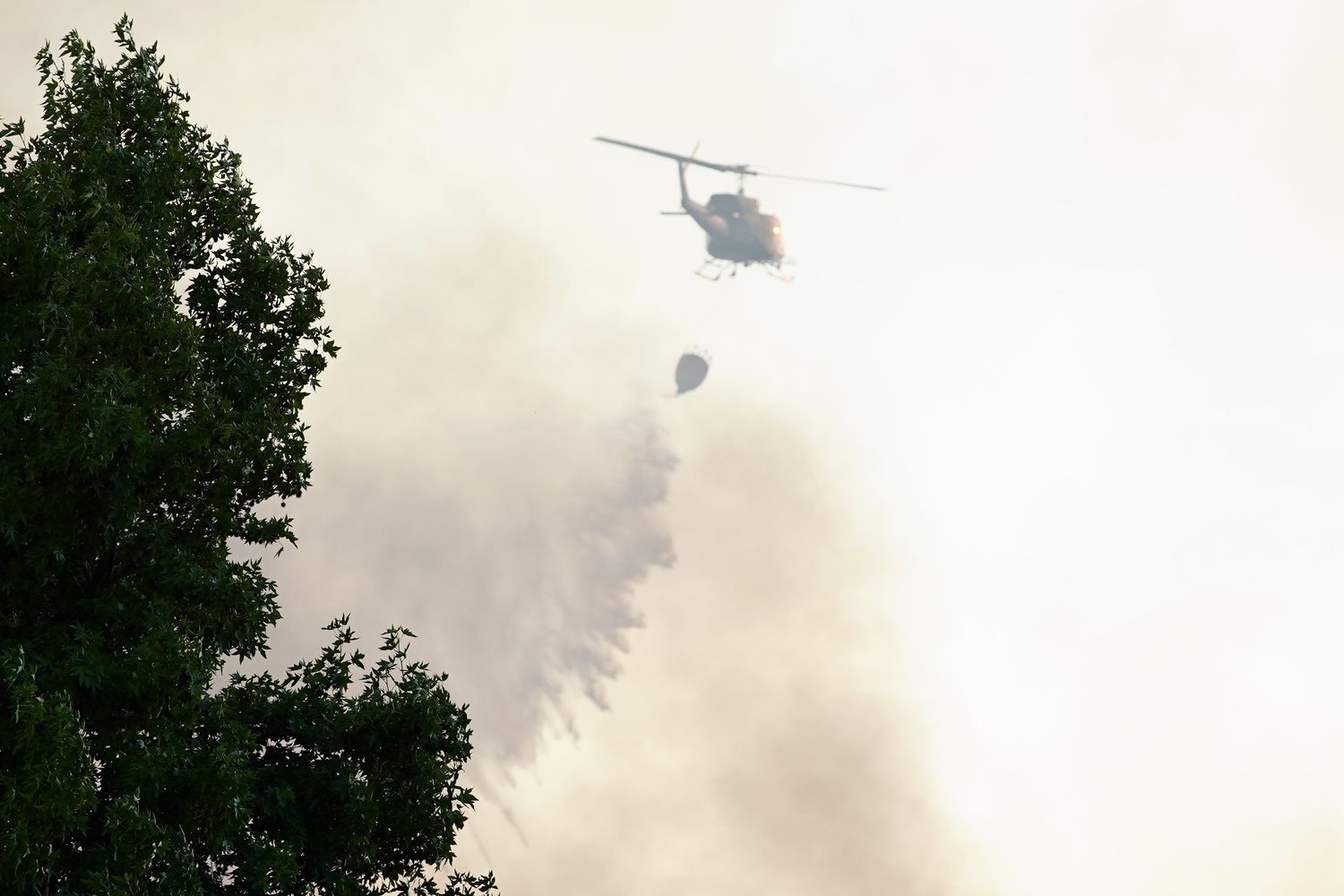  Incendio forestal de en Castrillo de los Polvazares (León) | Campillo / ICAL