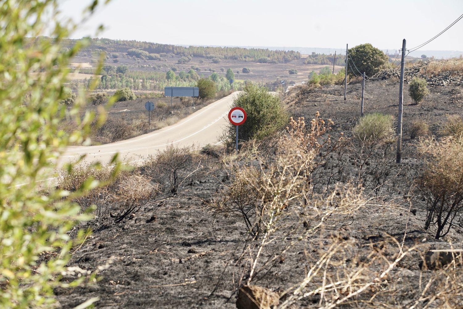  El incendio forestal de Castrillo de los Polvazaresbaja a nivel 1 | Campillo / ICAL.