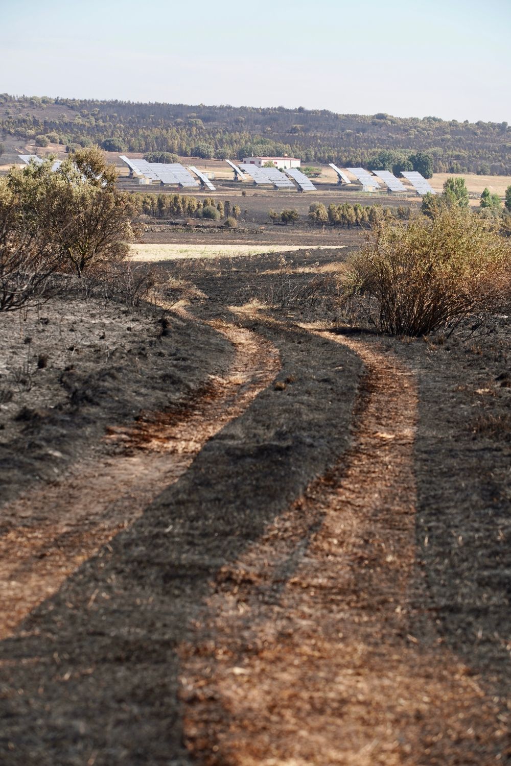 El incendio forestal de Castrillo de los Polvazaresbaja a nivel 1 | Campillo / ICAL.