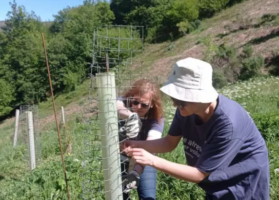 Fapas comienza un proyecto en Tejeda del Sil  para mejorar la convivencia con la osa Lechuguina | Foto: Fapas