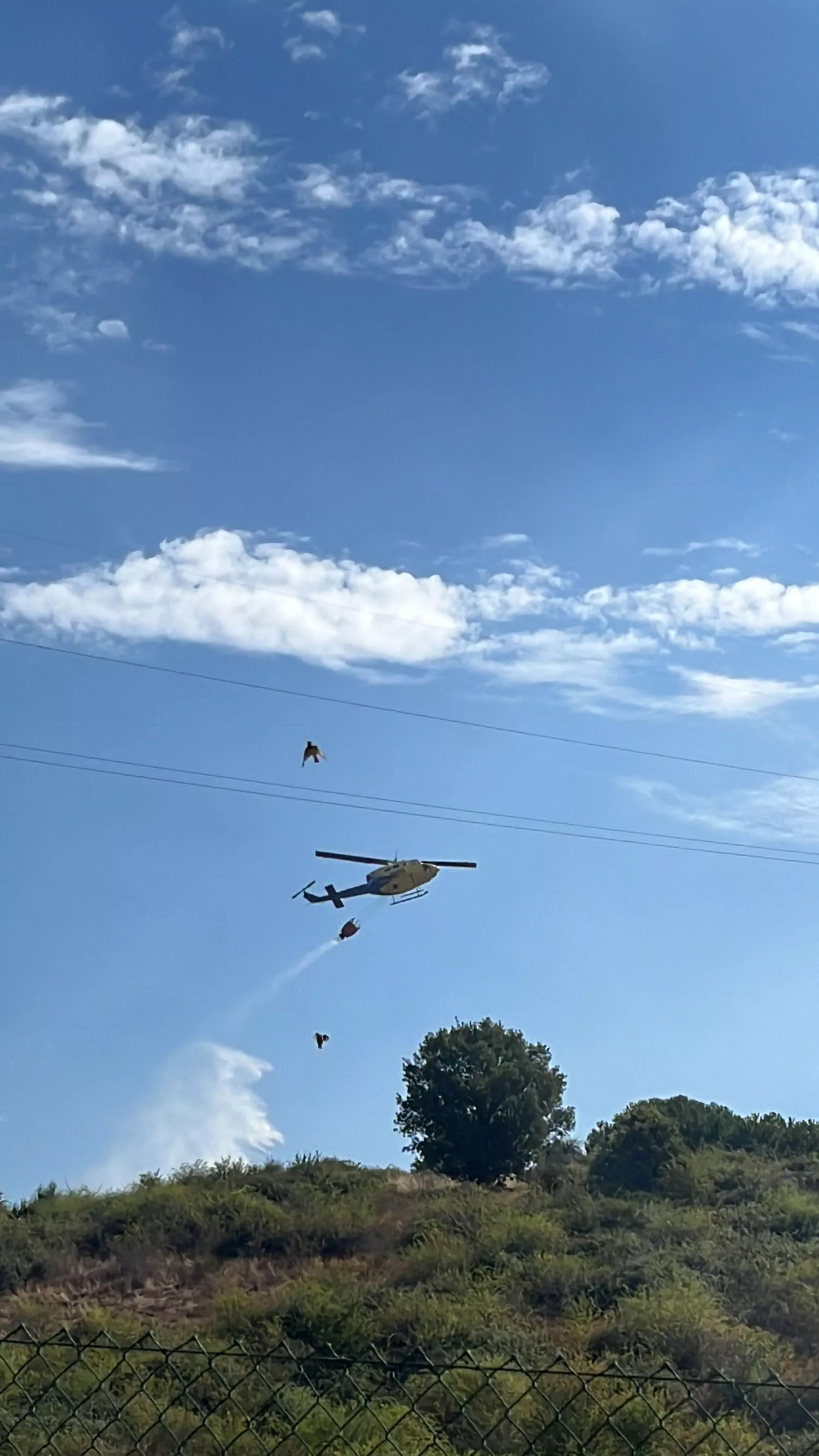 Medios aéreos y terrestres intervienen en un incendio en las inmediaciones de La Corona (Bembibre)  |  Imagen cedida por Imara da Costa Nogueira