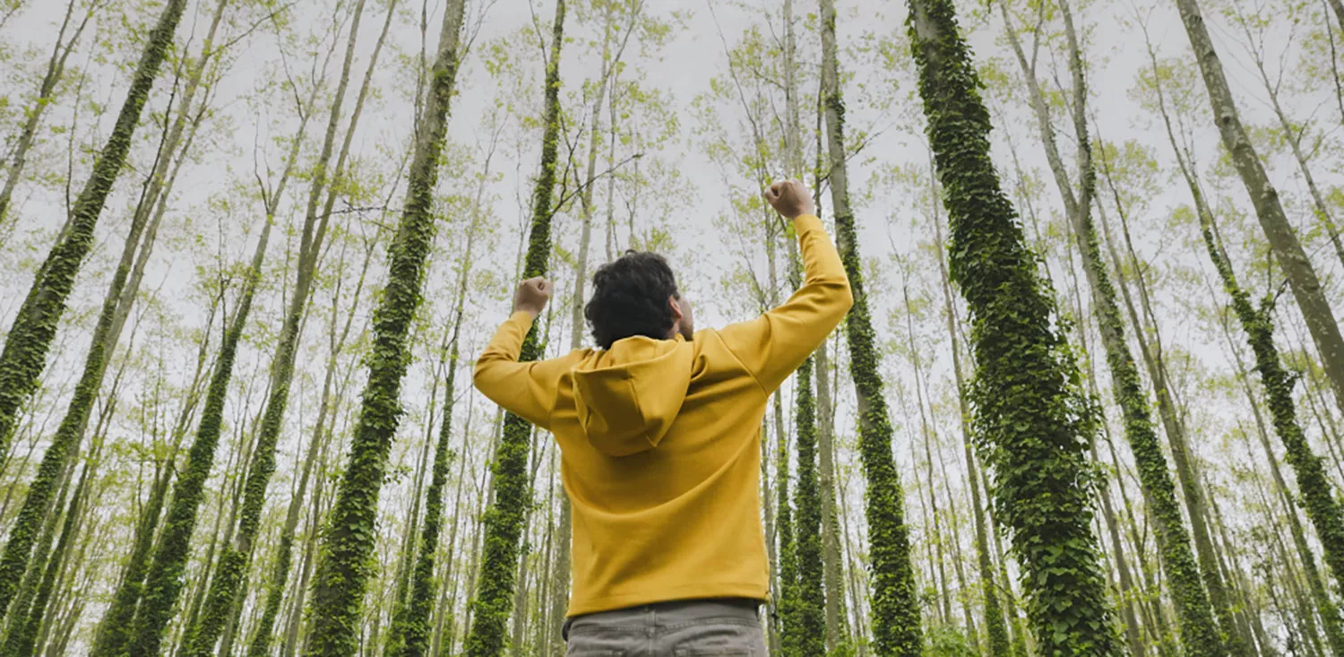 Los 'baños de bosque' centrarán el interés de un curso en el Campus de Ponferrada