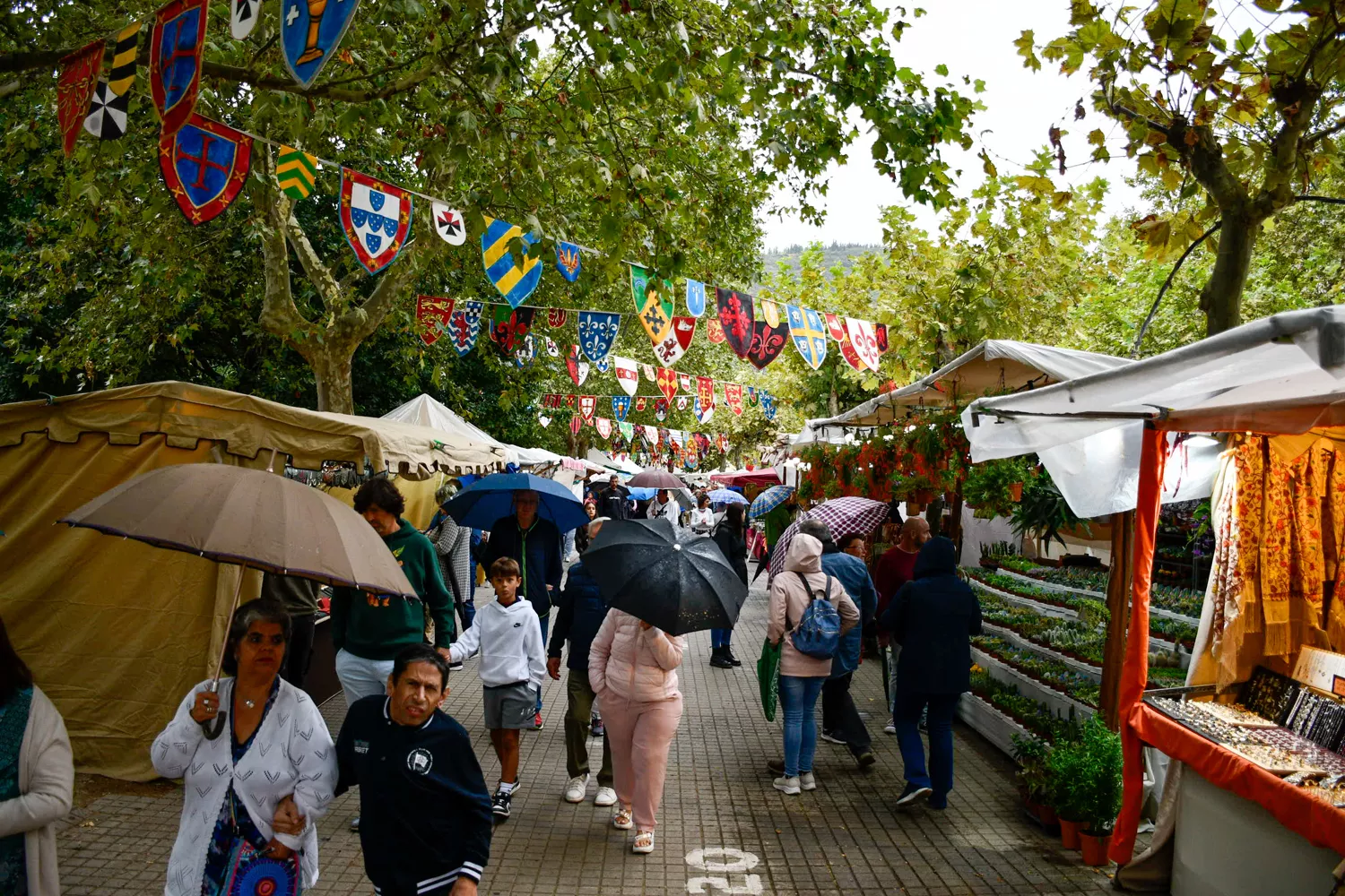 Mercado Medieval de La Encina 2024 (14)