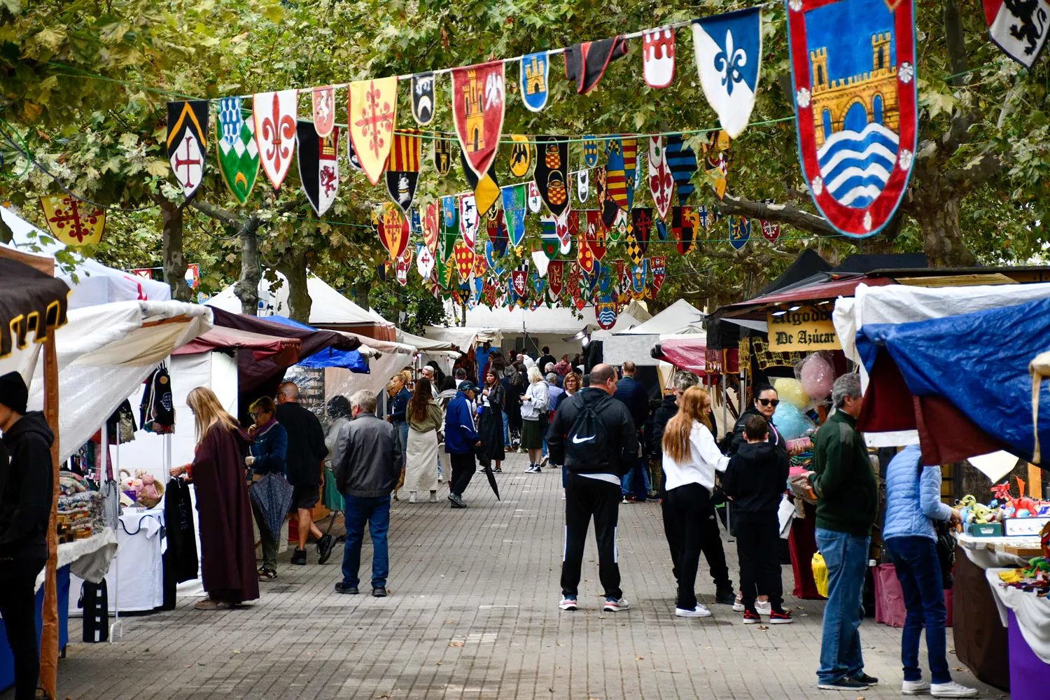 Mercado Medieval de La Encina 2024 (20)