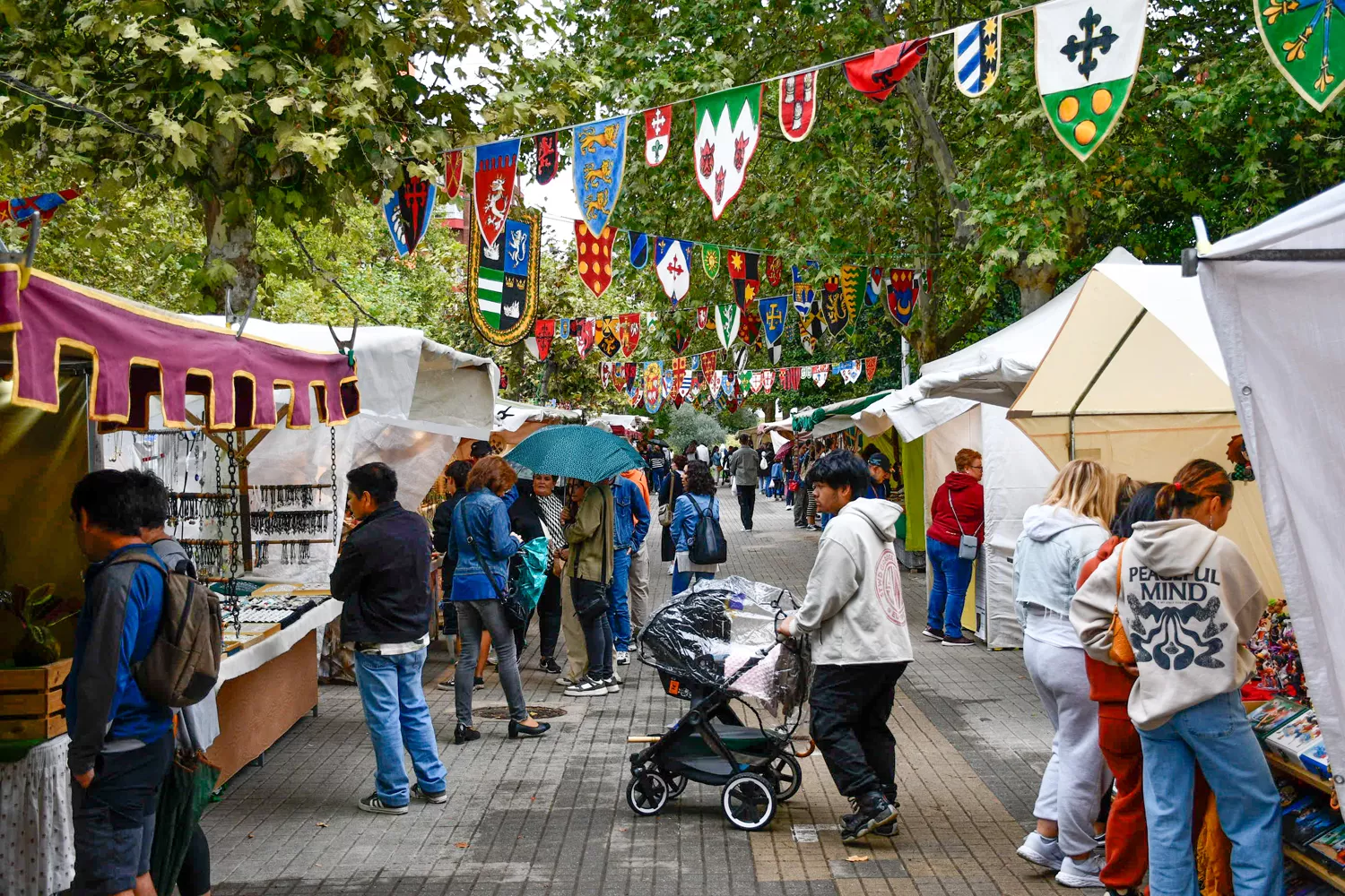 Mercado Medieval de La Encina 2024 