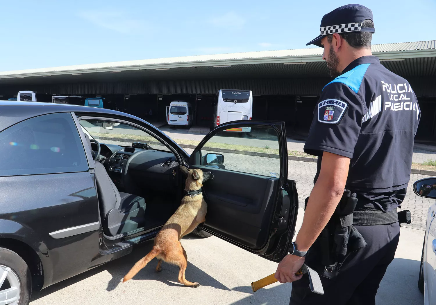 Unidad Canina de la Policía Local de Palencia (Uican)