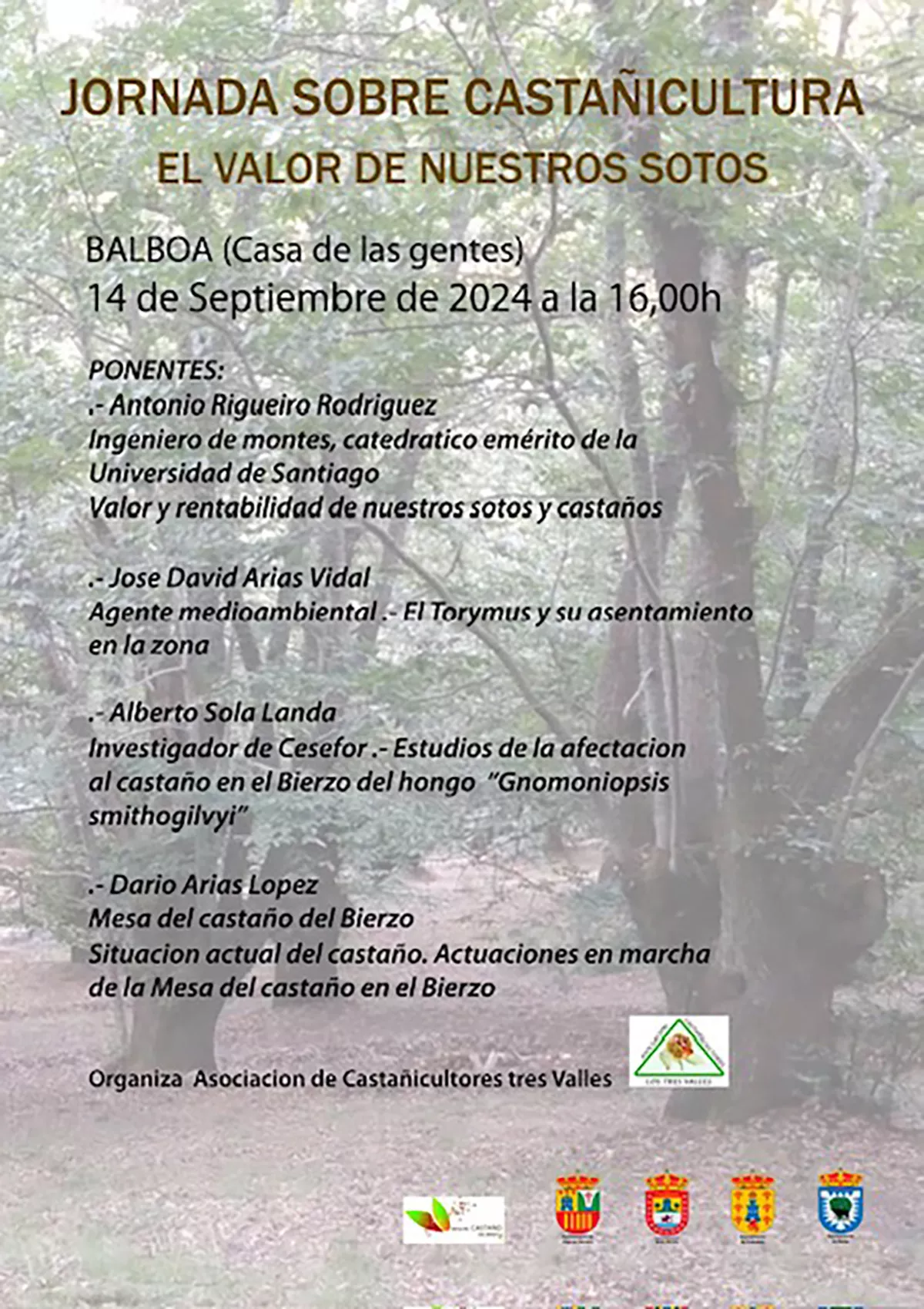 CARTEL JORNADA BALBOA 2024