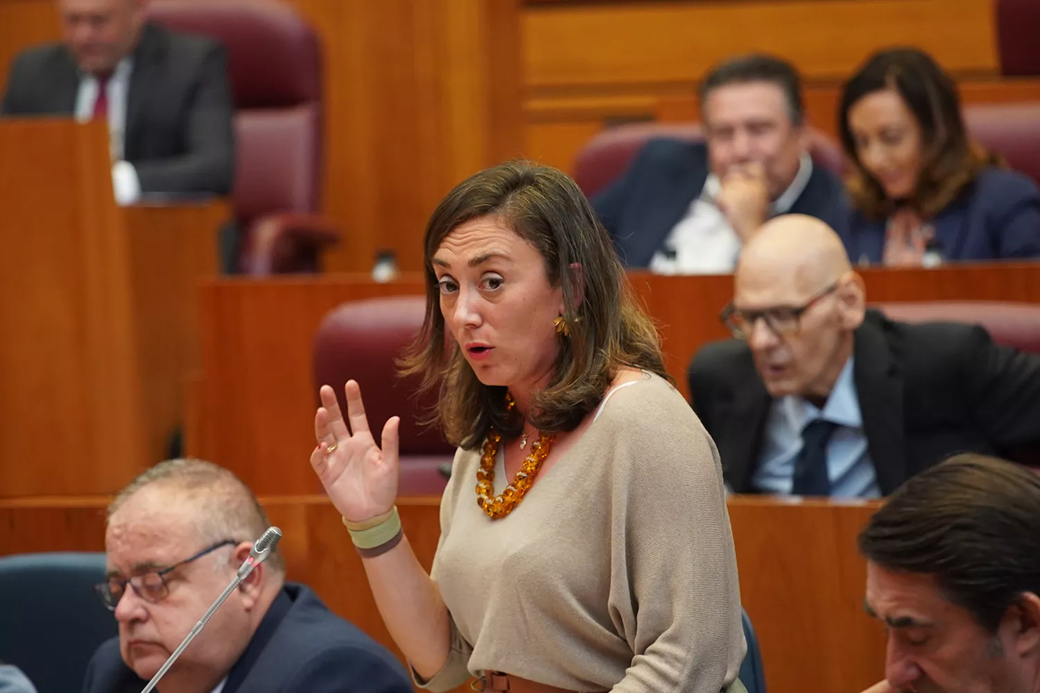 La consejera de Agricultura, Ganadería y Desarrollo Rural, María González Corral, durante su intervención en el pleno de las Cortes