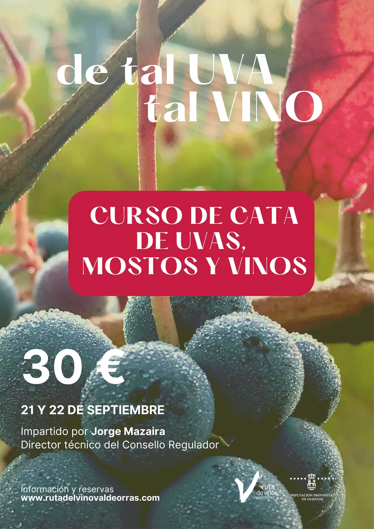 Cartel 'De tal uva, tal vino'