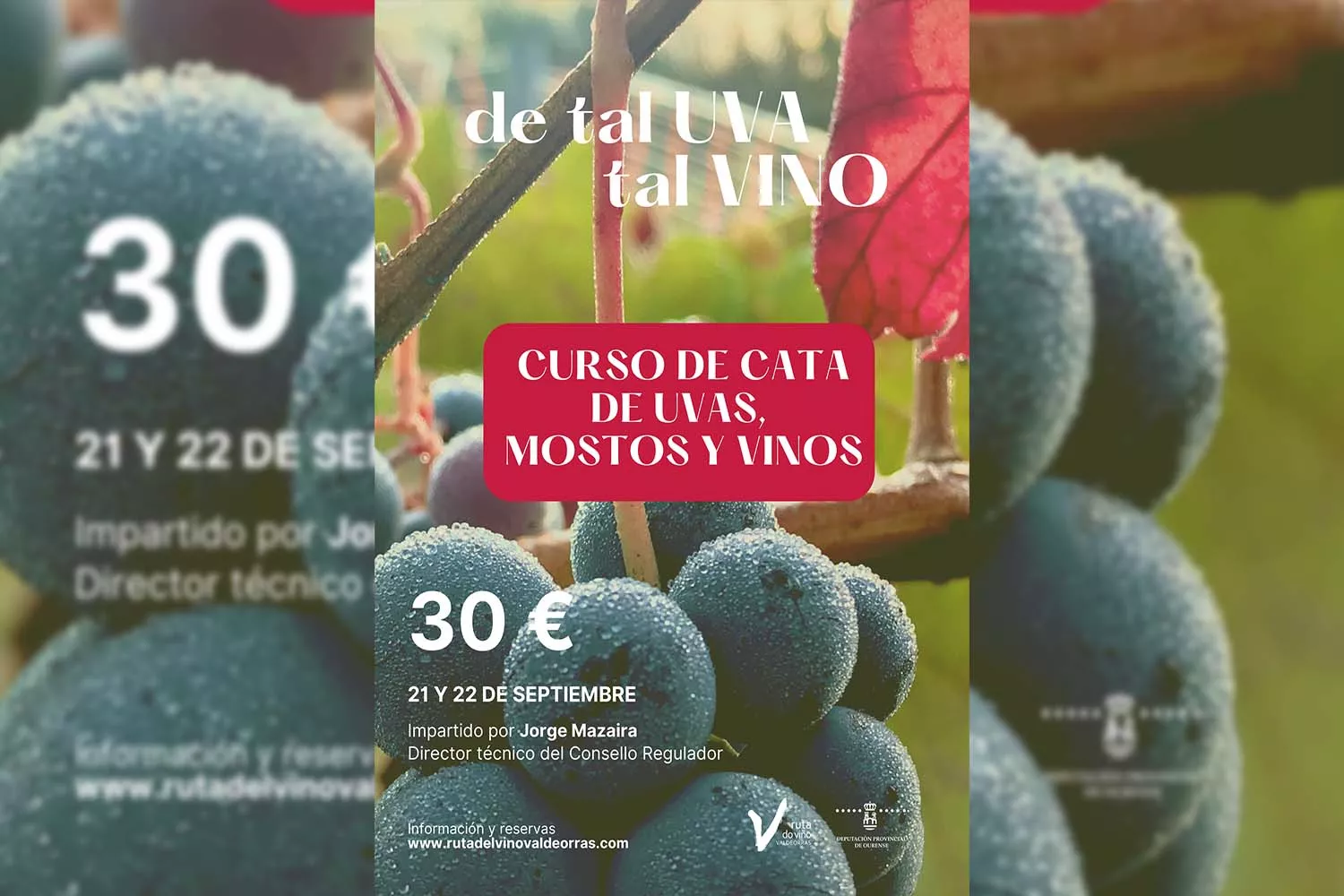 Cartel 'De tal uva, tal vino'.