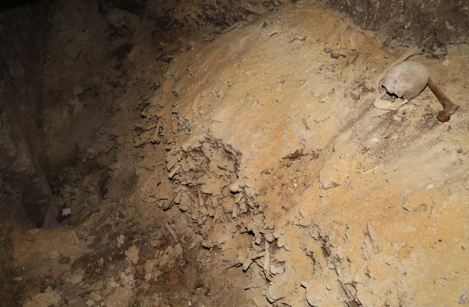 hallazgos subsuelo de la Catedral de Palencia (6)