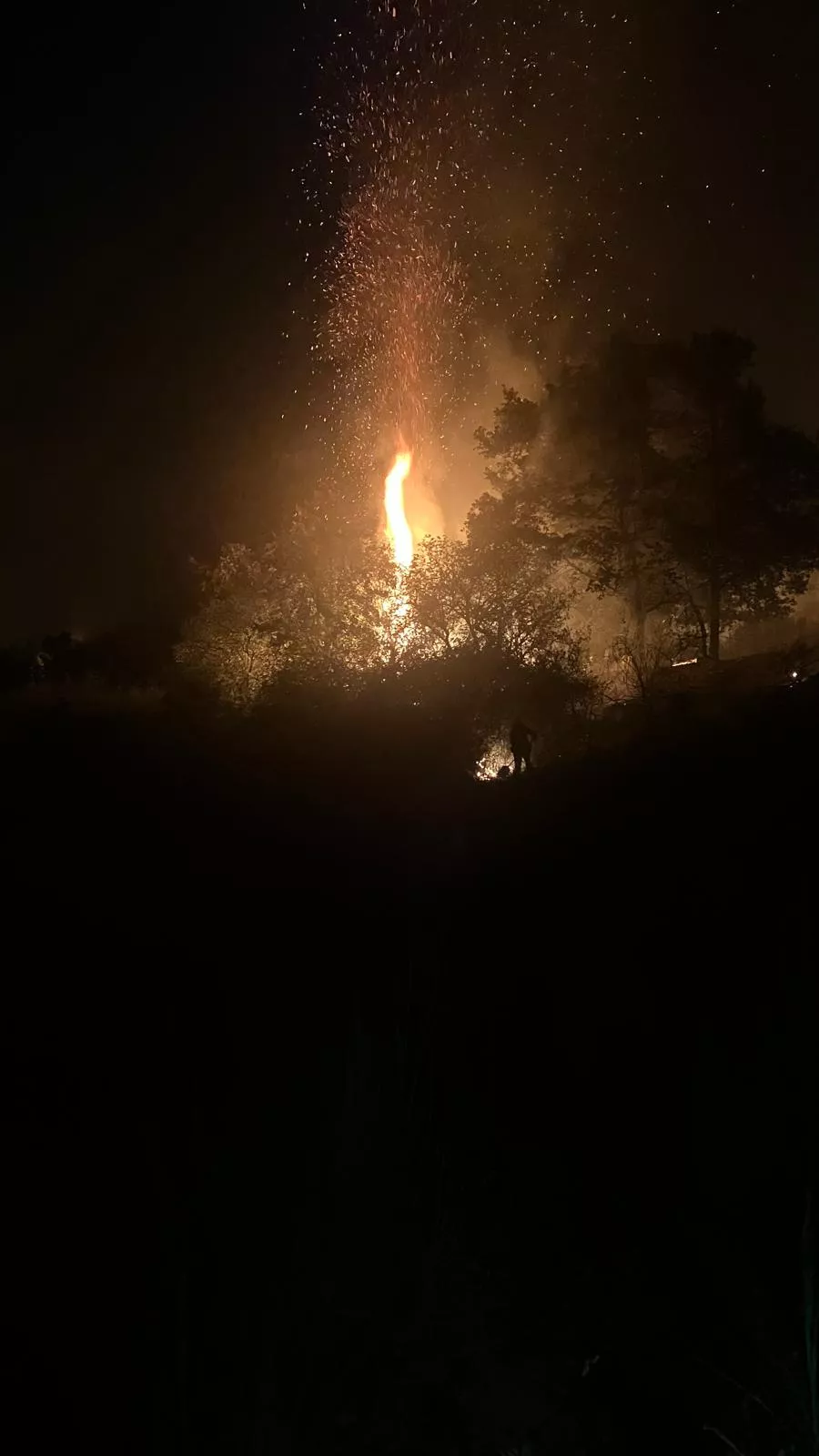 Fotos de la Brif Tabuyo en el incendio de Brañuelas.