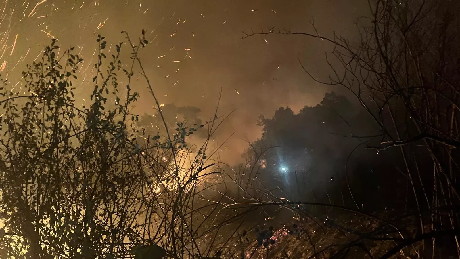 Fotos de la Brif Tabuyo en el incendio de Brañuelas