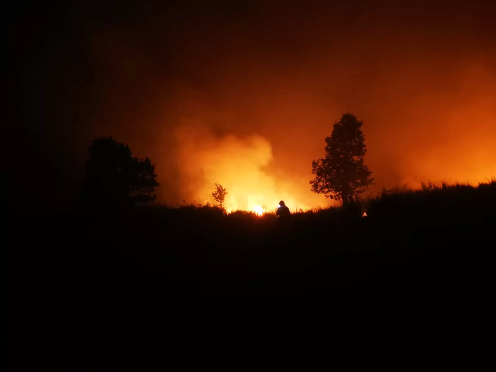 Fotos de la Brif Tabuyo en el incendio de Brañuelas 