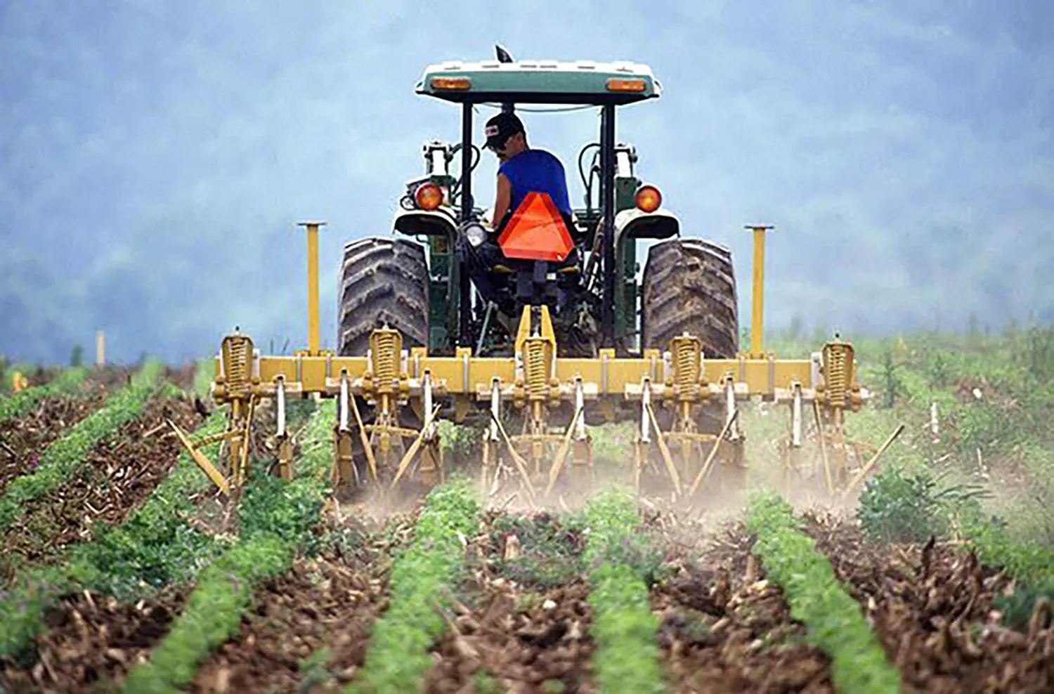 Agricultura aumenta hasta los 100.000 euros la ayuda máxima individual para la incorporación de jóvenes al campo