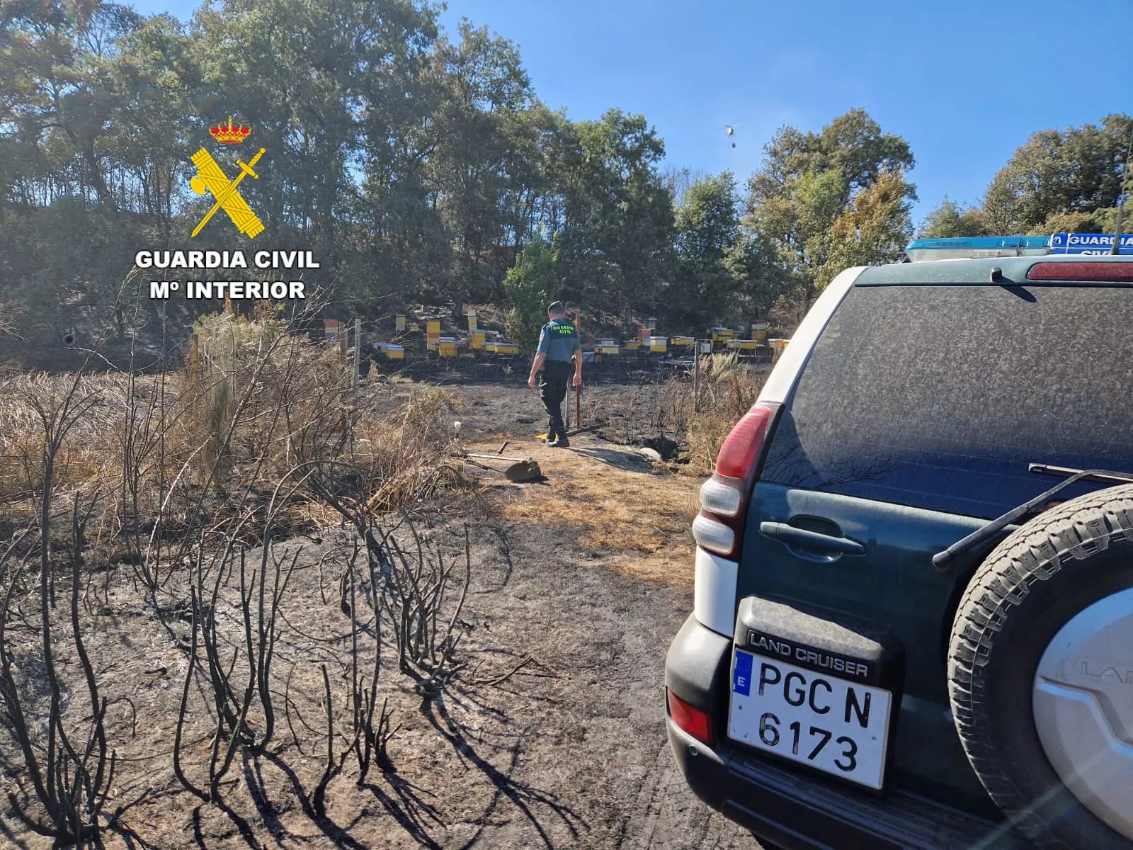 Guardia Civil.investigación incendio Brañuelas