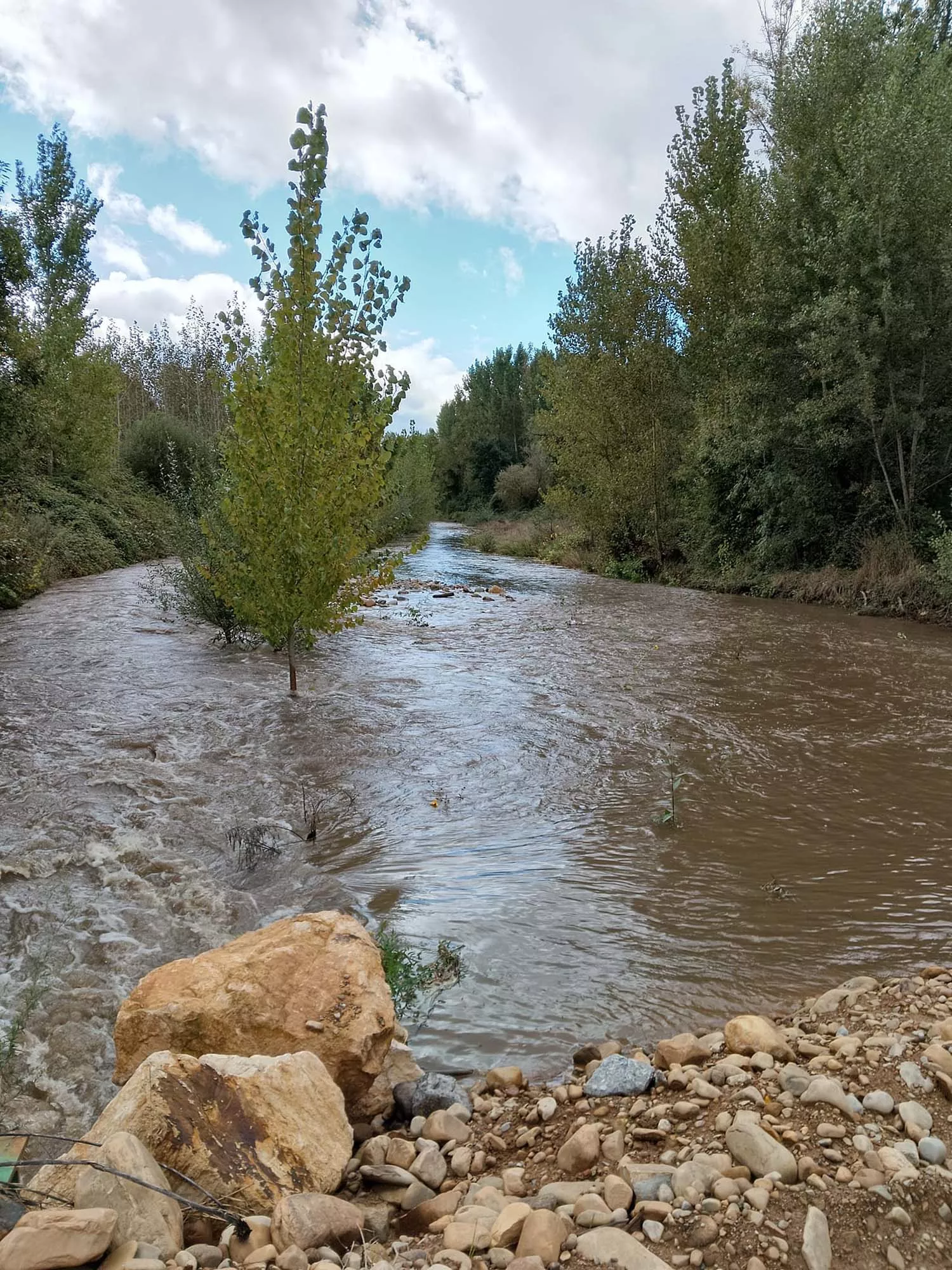 El río Cúa desbordado en Carracedelo